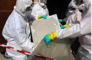 asbestos removal SA