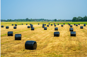 silage covers